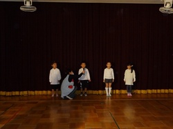 8556.JPG