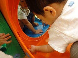 515.JPG
