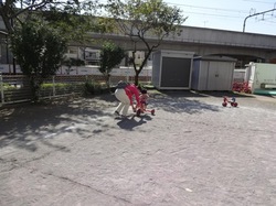 855.JPG