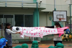 j 243.jpg