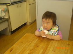 j 529.jpg