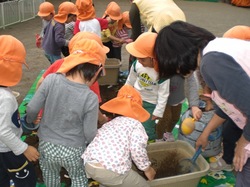 j 560.jpg