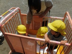 j 807.jpg