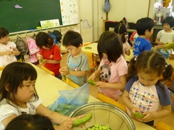 j 881.jpg