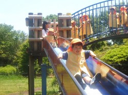 k 017.jpg