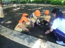 k 032.jpg