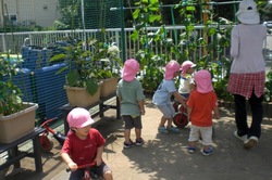 k 062.jpg