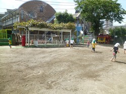 P1070157.JPG