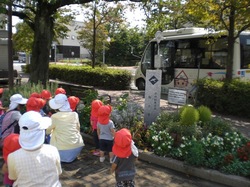 CIMG5442.JPG