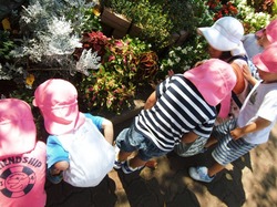 DSCF0835.JPG