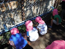 DSCF0843.JPG