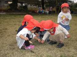CIM5557.JPG
