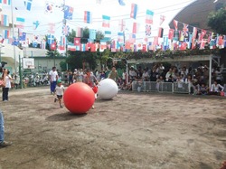 DSCF1246.JPG
