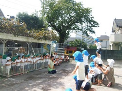 DSCF1417.JPG