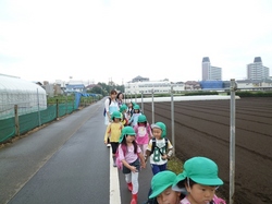 P1070418.JPG
