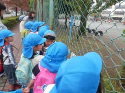 PA181457.JPG