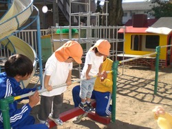 CIMG3654.JPG