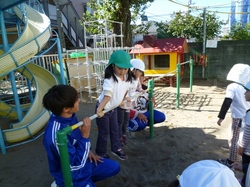 P1070567.JPG