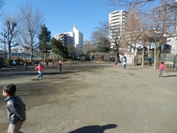 PC262205.JPG