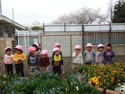 DSCF7045.JPG
