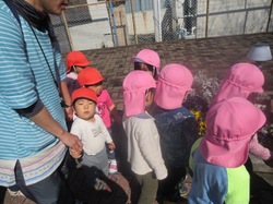 IMG_0803.JPG