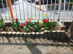 DSCF7053.JPG
