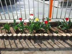 DSCF7054.JPG