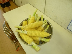 P1110003.JPG