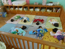 DSCN1512.JPG