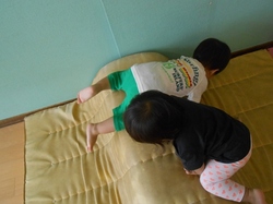 DSCN1527.JPG