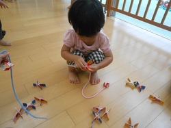 DSCN1590.JPG