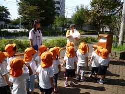 P1040099.JPG