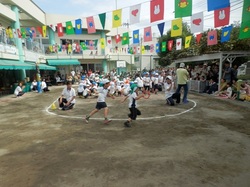 103.JPG