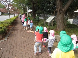 IMG_2569.JPG