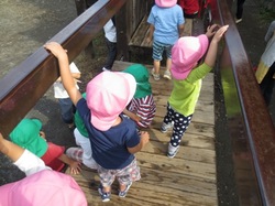 IMG_2572.JPG