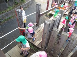 IMG_2576.JPG