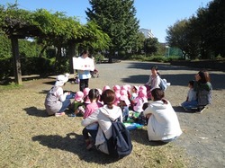 IMG_2613.JPG