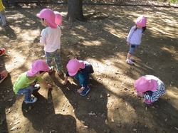 IMG_2626.JPG