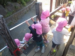 IMG_2653.JPG