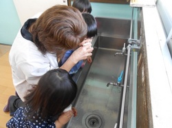 DSCN2015.JPG