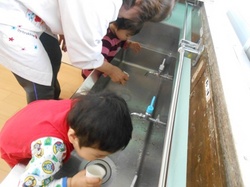 DSCN2019.JPG