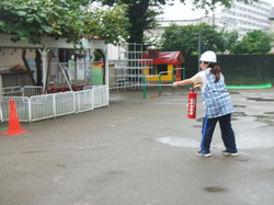 51.JPG