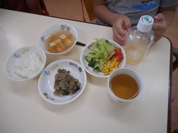 DSCN0159.JPG