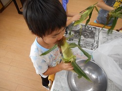 DSCN0210.JPG