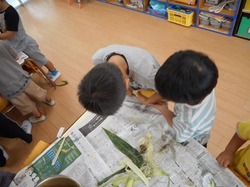 DSCN0222.JPG