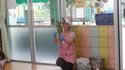 DSCN0387.JPG