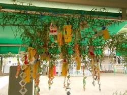 DSCN2386.JPG