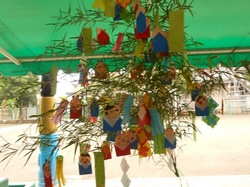 DSCN2390.JPG