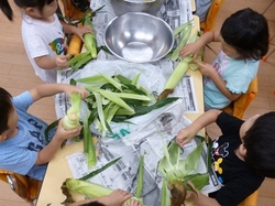 P1050474.JPG