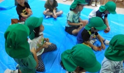 DSCN0462.JPG